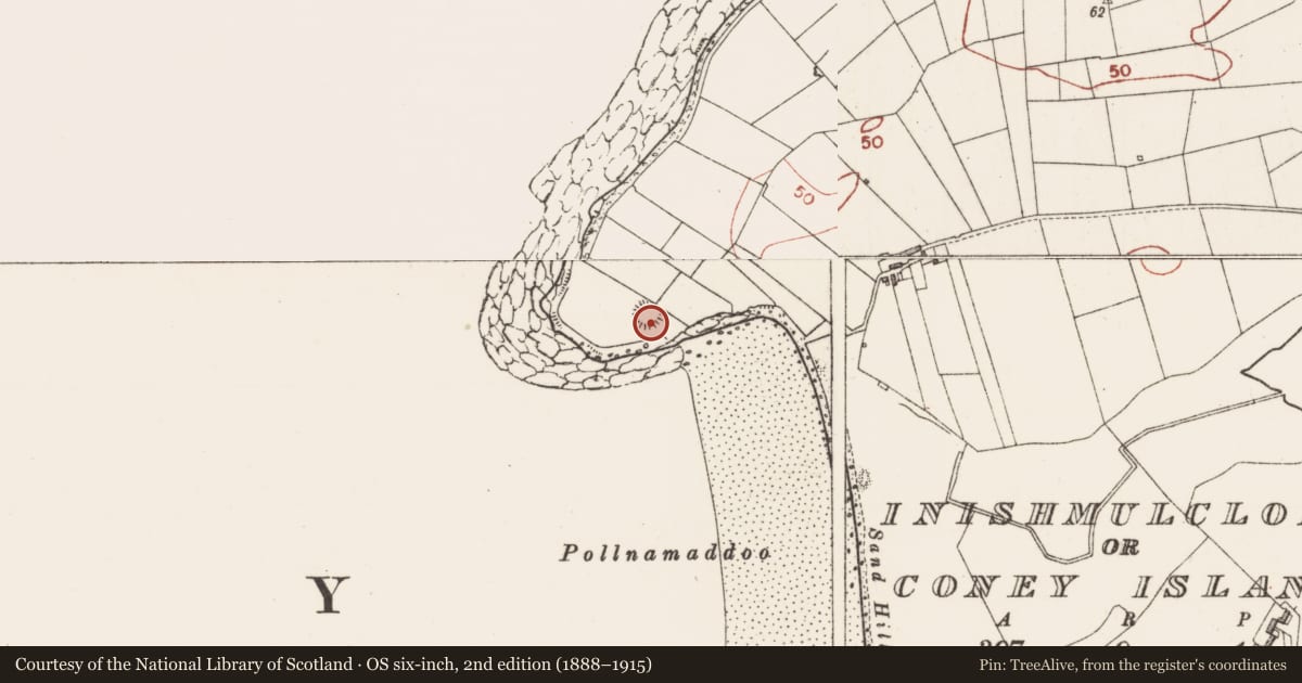Ordnance Survey six-inch map, 2nd edition (1888–1915) covering the location of Hut site, Inishmulclohy Or Coney Island, County Sligo, with a pin at the register's coordinates