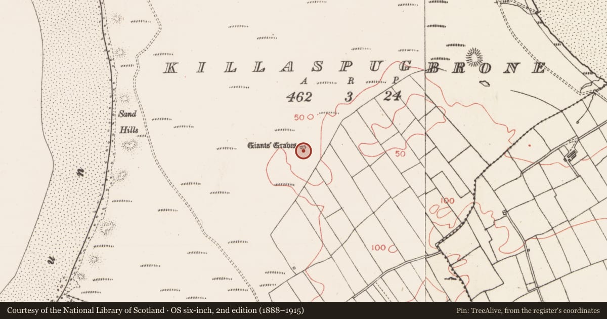 Ordnance Survey six-inch map, 2nd edition (1888–1915) covering the location of Megalithic tomb - court tomb, Killaspugbrone, County Sligo, with a pin at the register's coordinates