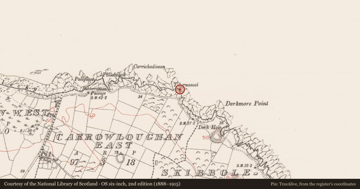 Ordnance Survey six-inch map, 2nd edition (1888–1915) covering the location of Ritual site - holy/saint's stone, Carrowloughan East, County Sligo, with a pin at the register's coordinates