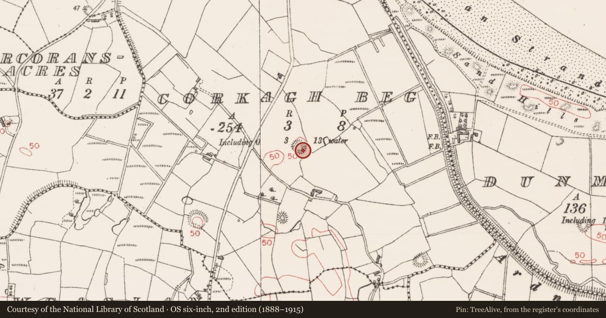 Ordnance Survey six-inch map, 2nd edition (1888–1915) covering the location of Ringfort - rath, Corkagh Beg, County Sligo, with a pin at the register's coordinates