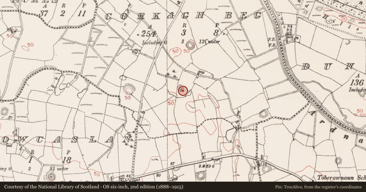 Ordnance Survey six-inch map, 2nd edition (1888–1915) covering the location of Ringfort - rath, Corkagh Beg, County Sligo, with a pin at the register's coordinates