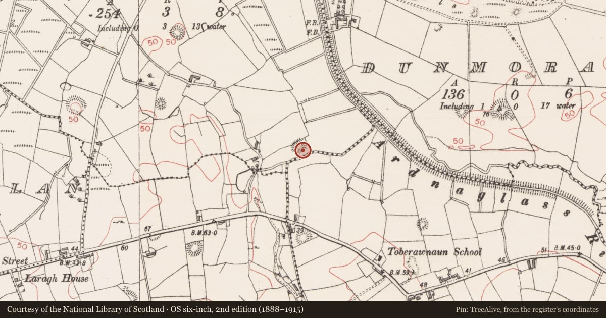 Ordnance Survey six-inch map, 2nd edition (1888–1915) covering the location of Ringfort - rath, Corkagh Beg, County Sligo, with a pin at the register's coordinates