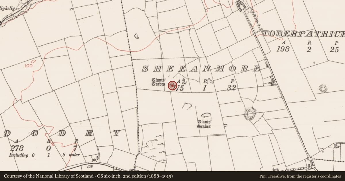 Ordnance Survey six-inch map, 2nd edition (1888–1915) covering the location of Children's burial ground, Sheeanmore, County Sligo, with a pin at the register's coordinates