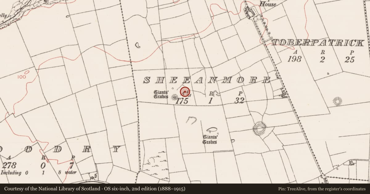 Ordnance Survey six-inch map, 2nd edition (1888–1915) covering the location of Field system, Sheeanmore, County Sligo, with a pin at the register's coordinates