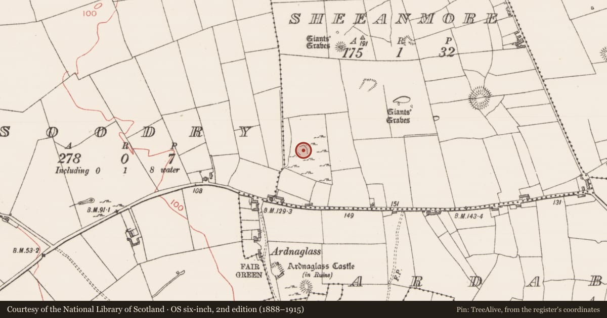 Ordnance Survey six-inch map, 2nd edition (1888–1915) covering the location of Ringfort - rath, Sheeanmore, County Sligo, with a pin at the register's coordinates
