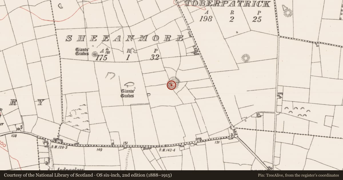 Ordnance Survey six-inch map, 2nd edition (1888–1915) covering the location of Souterrain, Sheeanmore, County Sligo, with a pin at the register's coordinates