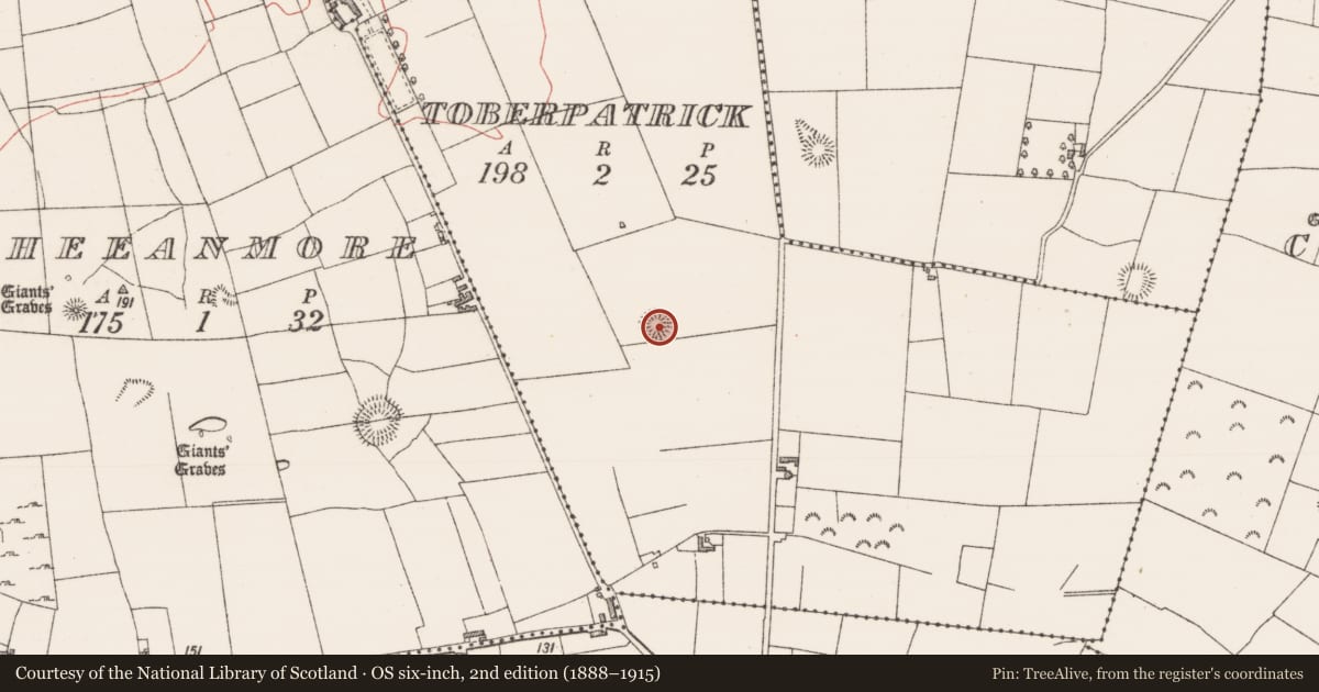 Ordnance Survey six-inch map, 2nd edition (1888–1915) covering the location of Ringfort - rath, Toberpatrick, County Sligo, with a pin at the register's coordinates
