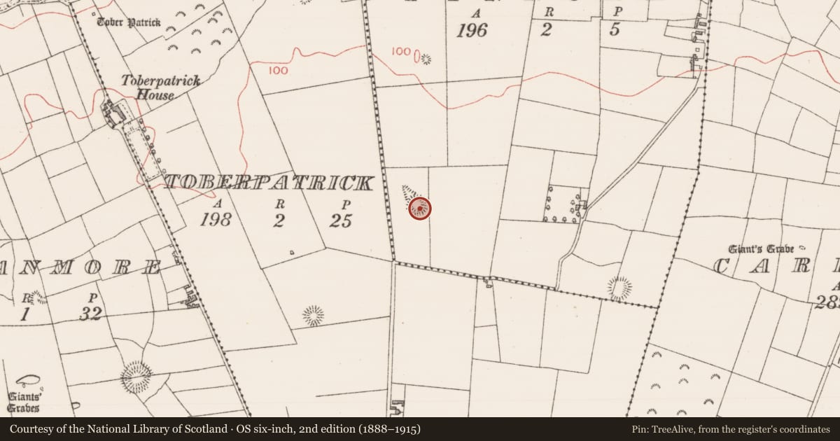 Ordnance Survey six-inch map, 2nd edition (1888–1915) covering the location of Ringfort - unclassified, Finnure, County Sligo, with a pin at the register's coordinates