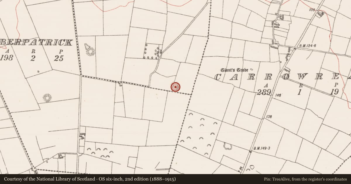 Ordnance Survey six-inch map, 2nd edition (1888–1915) covering the location of Souterrain, Finnure, County Sligo, with a pin at the register's coordinates