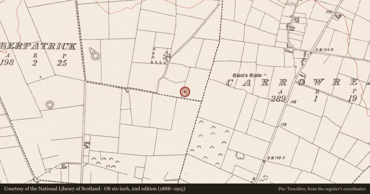 Ordnance Survey six-inch map, 2nd edition (1888–1915) covering the location of Souterrain, Finnure, County Sligo, with a pin at the register's coordinates