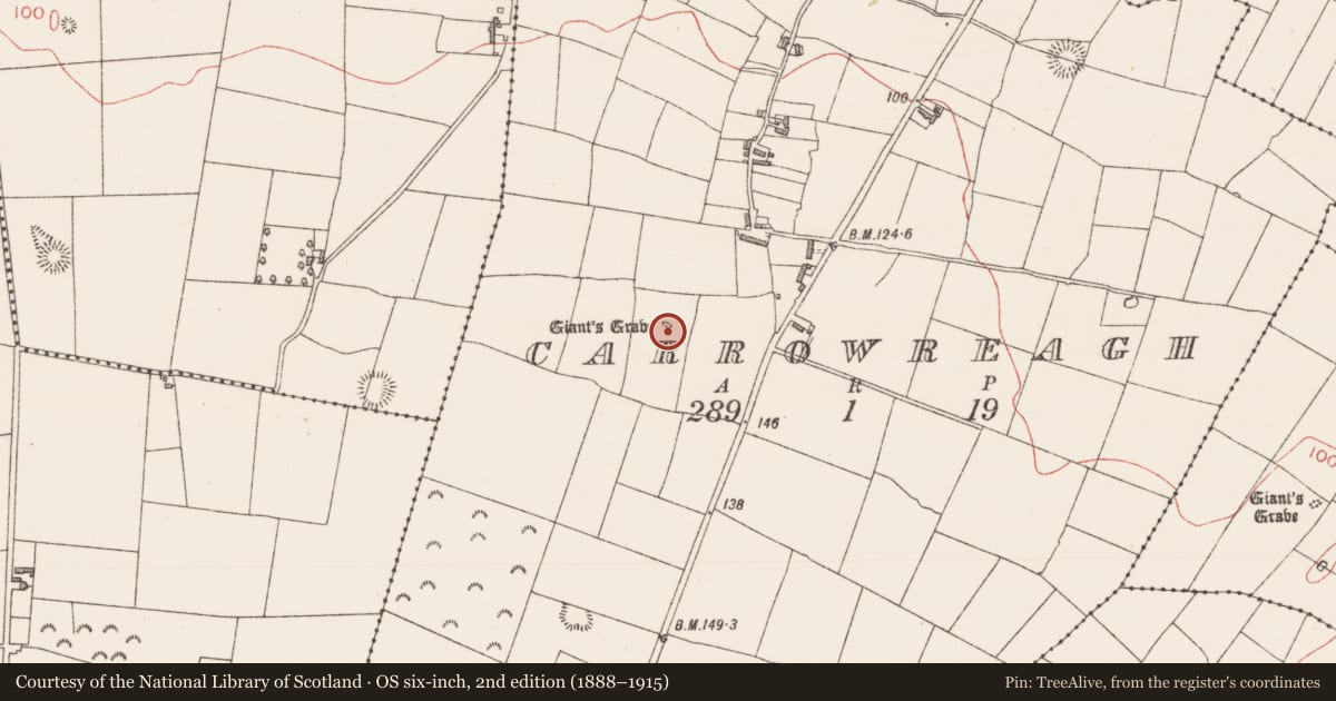 Ordnance Survey six-inch map, 2nd edition (1888–1915) covering the location of Megalithic tomb - unclassified, Carrowreagh, County Sligo, with a pin at the register's coordinates