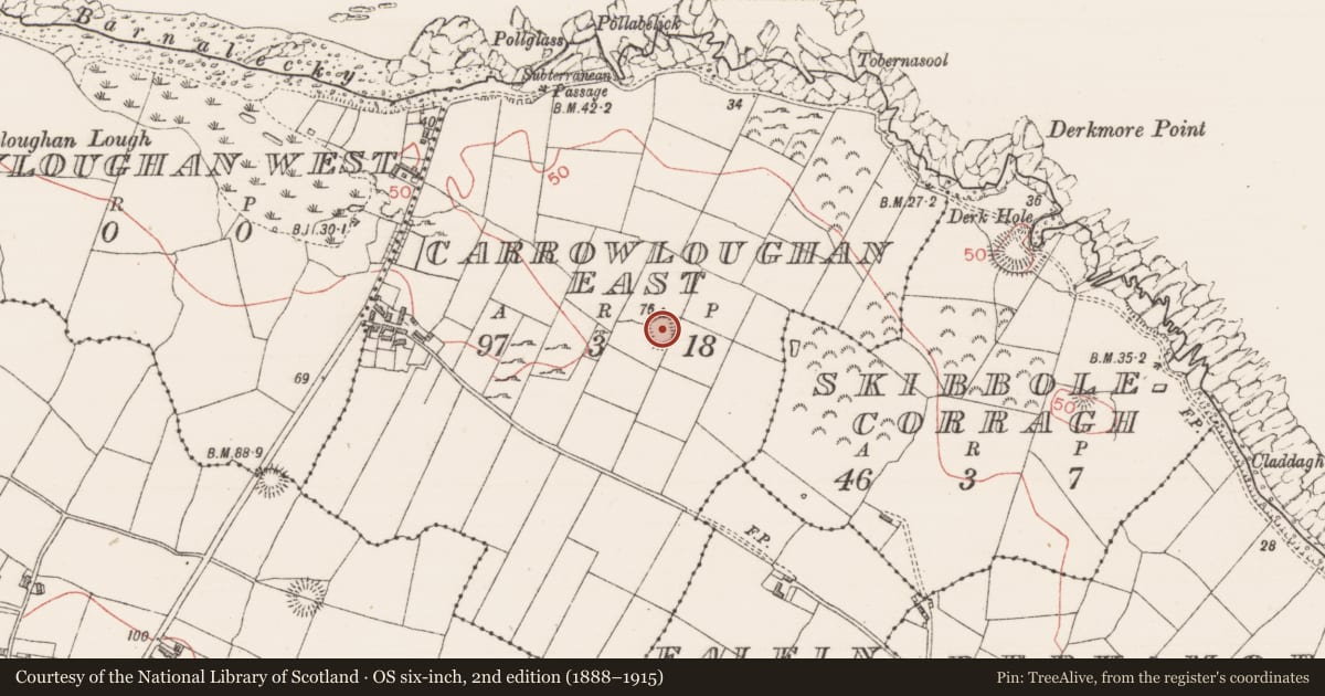 Ordnance Survey six-inch map, 2nd edition (1888–1915) covering the location of Ringfort - rath, Carrowloughan East, County Sligo, with a pin at the register's coordinates