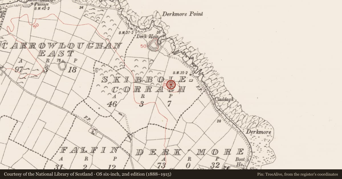 Ordnance Survey six-inch map, 2nd edition (1888–1915) covering the location of Enclosure, Skibbolecorragh, County Sligo, with a pin at the register's coordinates