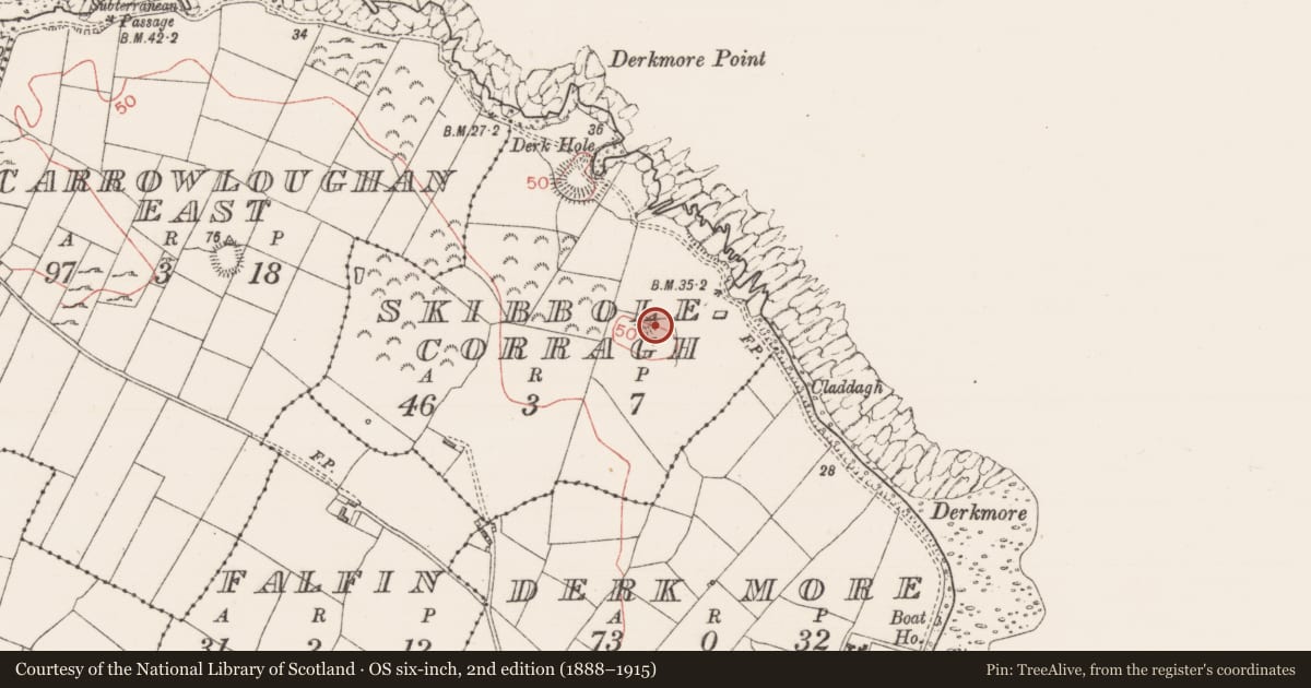 Ordnance Survey six-inch map, 2nd edition (1888–1915) covering the location of Field boundary, Skibbolecorragh, County Sligo, with a pin at the register's coordinates