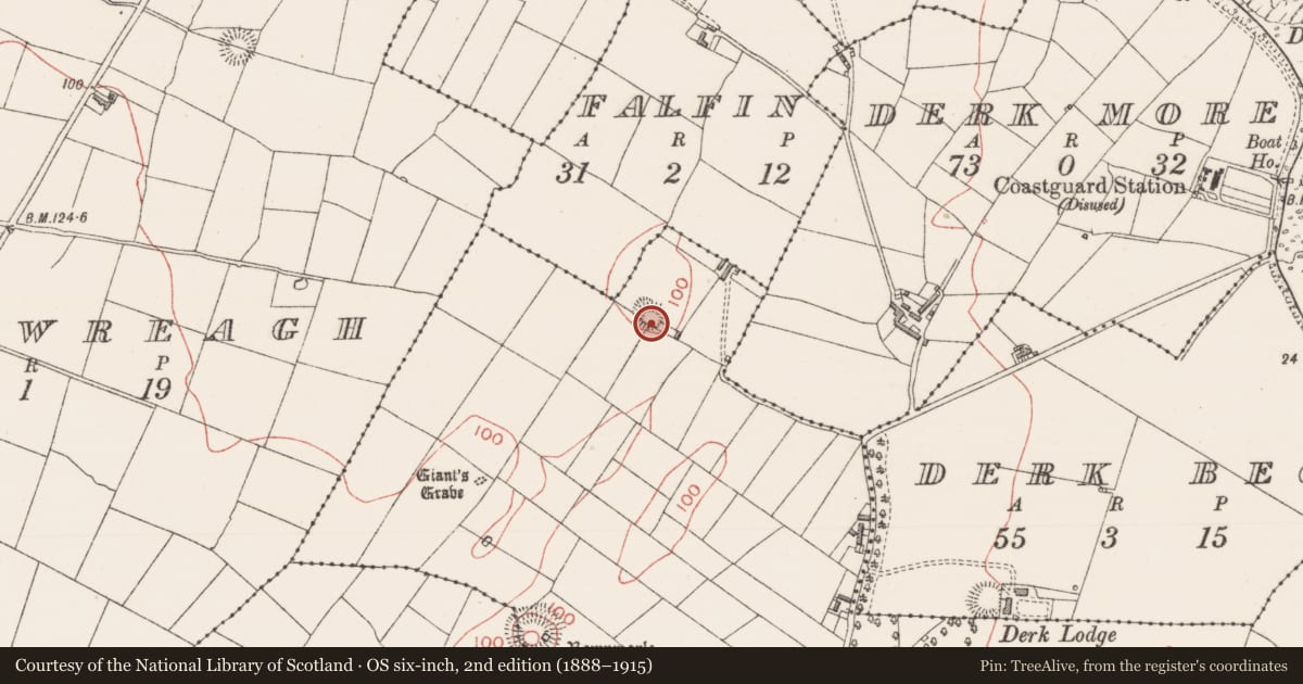 Ordnance Survey six-inch map, 2nd edition (1888–1915) covering the location of Ringfort - rath, Carrowbrickeen, County Sligo, with a pin at the register's coordinates