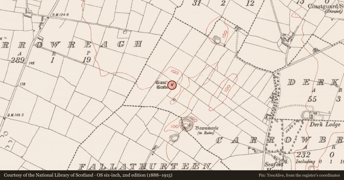 Ordnance Survey six-inch map, 2nd edition (1888–1915) covering the location of Megalithic tomb - wedge tomb, Carrowbrickeen, County Sligo, with a pin at the register's coordinates