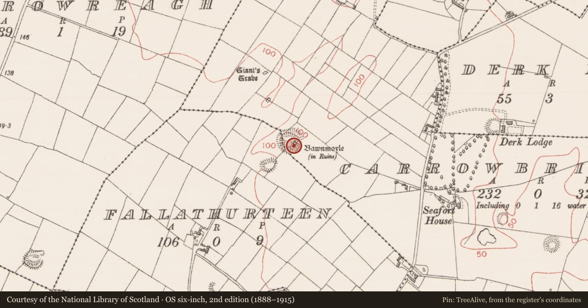 Ordnance Survey six-inch map, 2nd edition (1888–1915) covering the location of Castle - tower house, Carrowbrickeen, County Sligo, with a pin at the register's coordinates