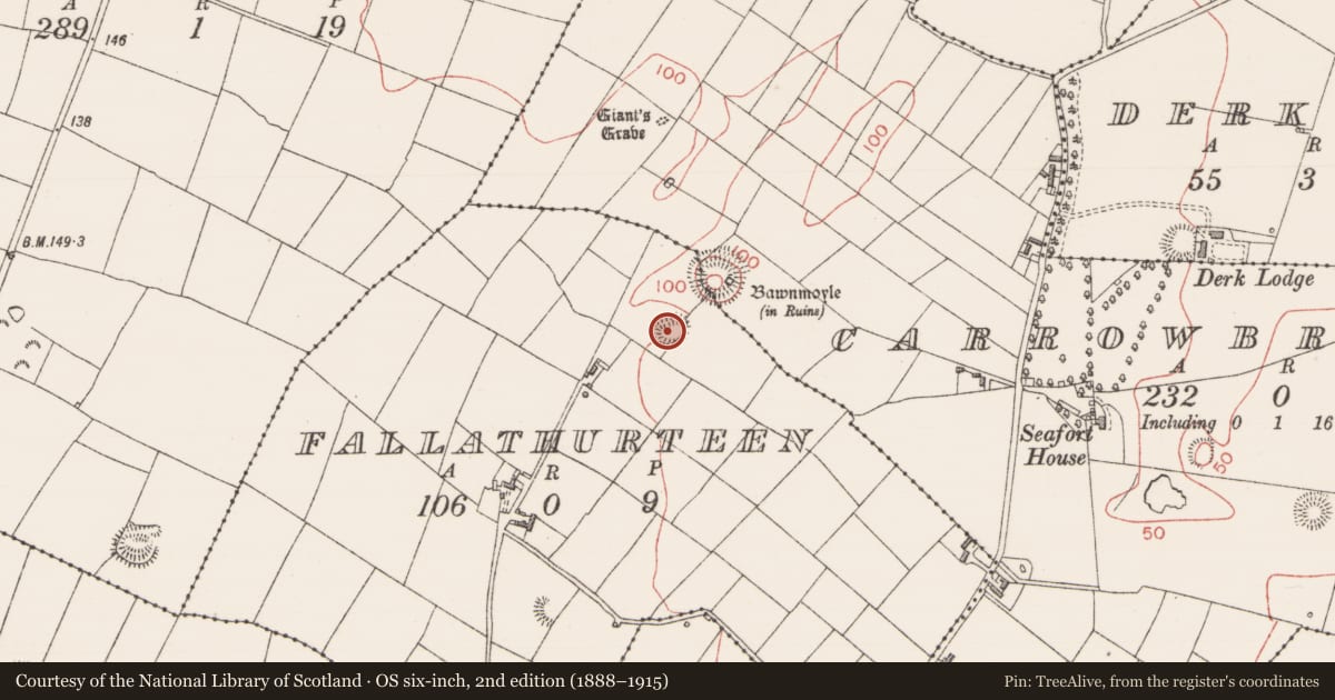 Ordnance Survey six-inch map, 2nd edition (1888–1915) covering the location of Ringfort - cashel, Fallathurteen, County Sligo, with a pin at the register's coordinates