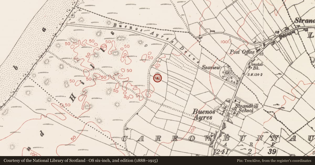 Ordnance Survey six-inch map, 2nd edition (1888–1915) covering the location of Earthwork, Carrowbunnaun, County Sligo, with a pin at the register's coordinates