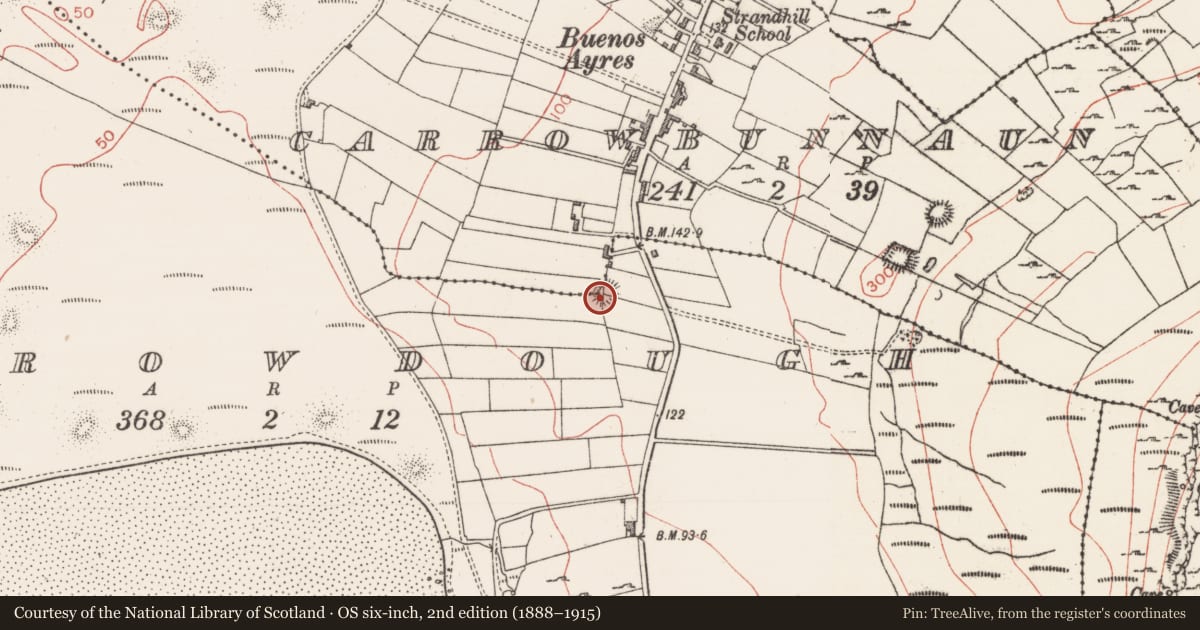Ordnance Survey six-inch map, 2nd edition (1888–1915) covering the location of Souterrain, Carrowbunnaun, County Sligo, with a pin at the register's coordinates