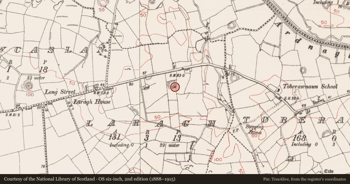 Ordnance Survey six-inch map, 2nd edition (1888–1915) covering the location of Souterrain, Laragh, County Sligo, with a pin at the register's coordinates
