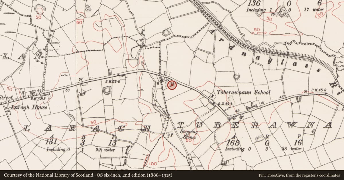Ordnance Survey six-inch map, 2nd edition (1888–1915) covering the location of Ringfort - rath, Toberawnaun, County Sligo, with a pin at the register's coordinates