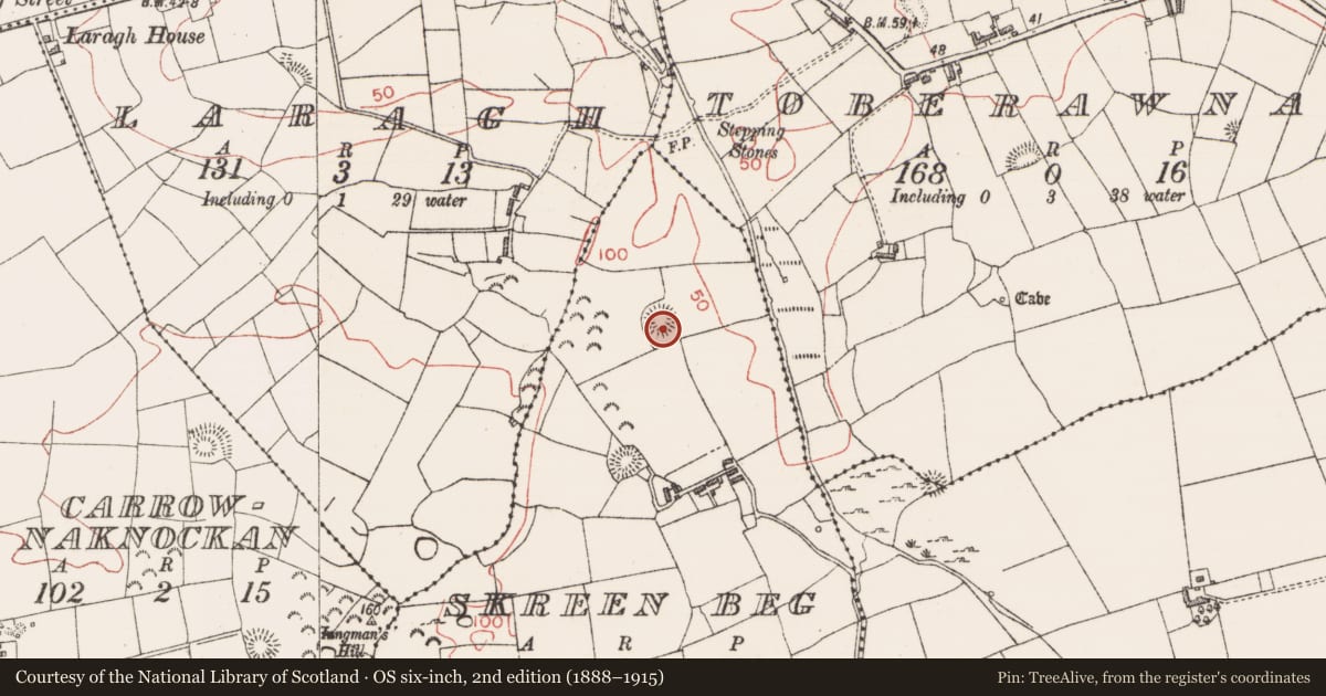 Ordnance Survey six-inch map, 2nd edition (1888–1915) covering the location of Ringfort - rath, Skreen Beg, County Sligo, with a pin at the register's coordinates