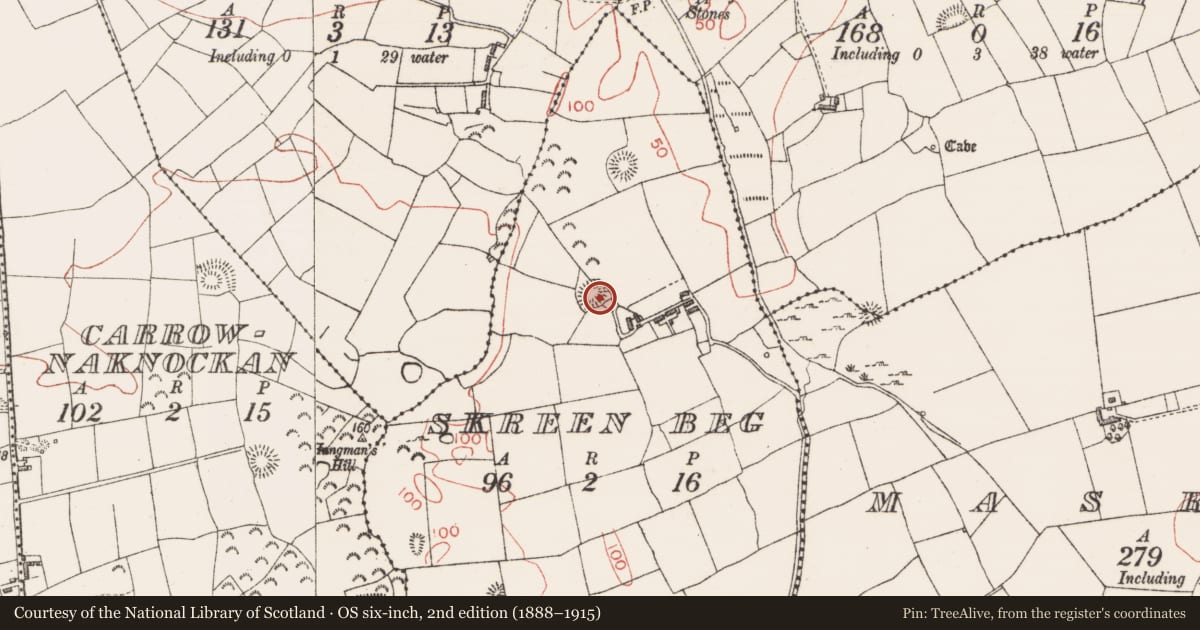 Ordnance Survey six-inch map, 2nd edition (1888–1915) covering the location of Ringfort - rath, Skreen Beg, County Sligo, with a pin at the register's coordinates