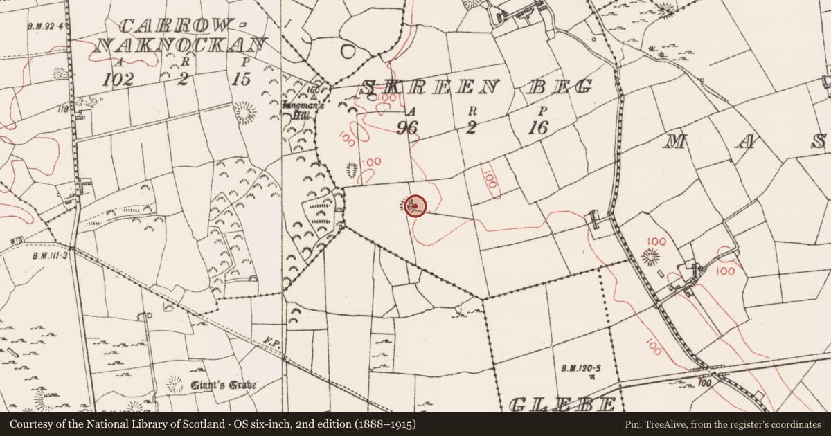 Ordnance Survey six-inch map, 2nd edition (1888–1915) covering the location of Ringfort - unclassified, Skreen Beg, County Sligo, with a pin at the register's coordinates