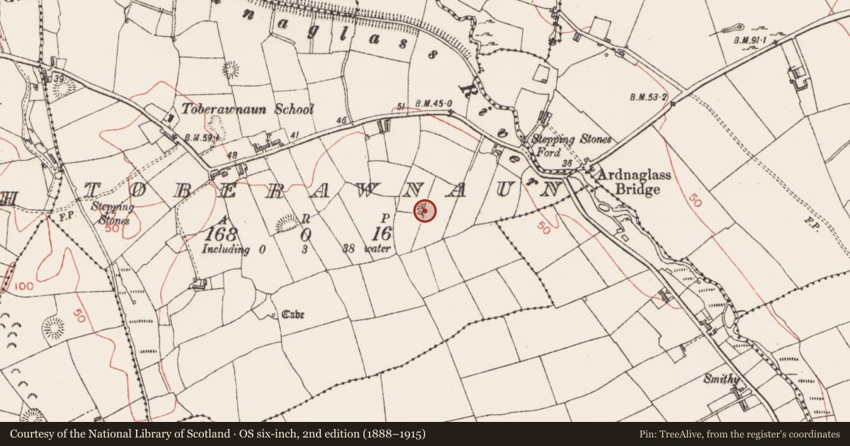 Ordnance Survey six-inch map, 2nd edition (1888–1915) covering the location of Barrow - embanked barrow, Toberawnaun, County Sligo, with a pin at the register's coordinates