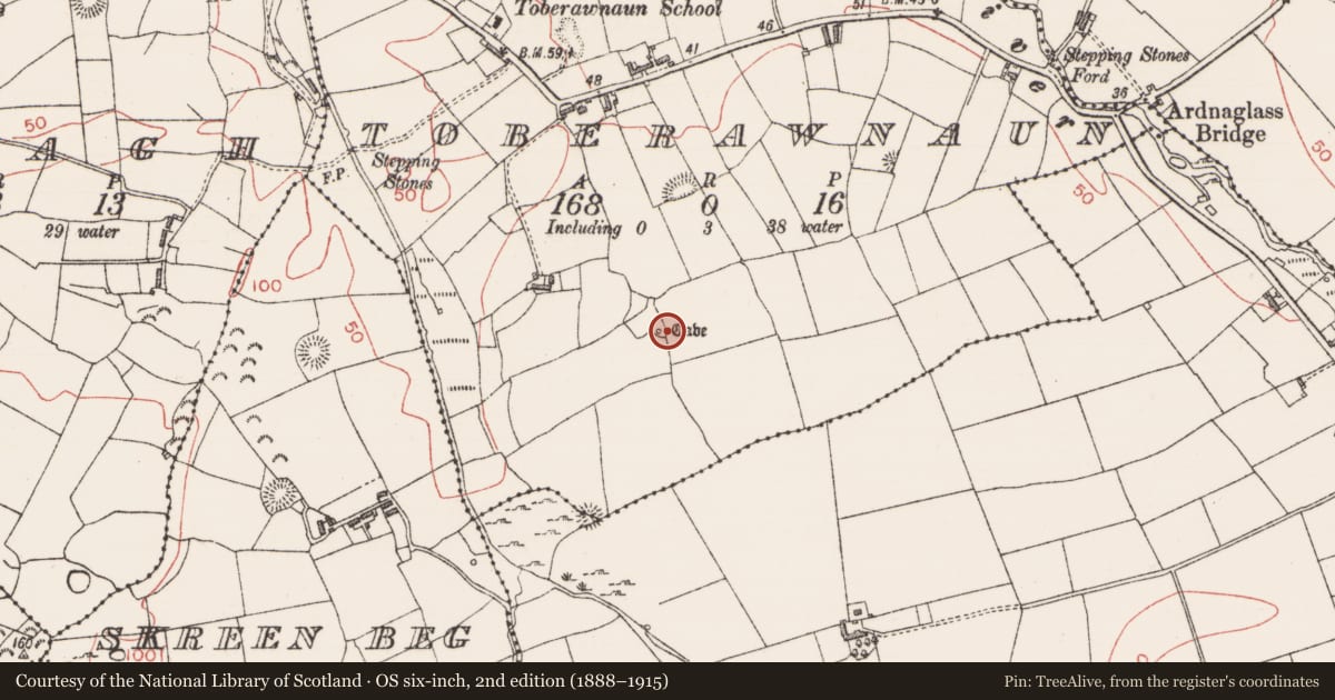 Ordnance Survey six-inch map, 2nd edition (1888–1915) covering the location of Souterrain, Toberawnaun, County Sligo, with a pin at the register's coordinates