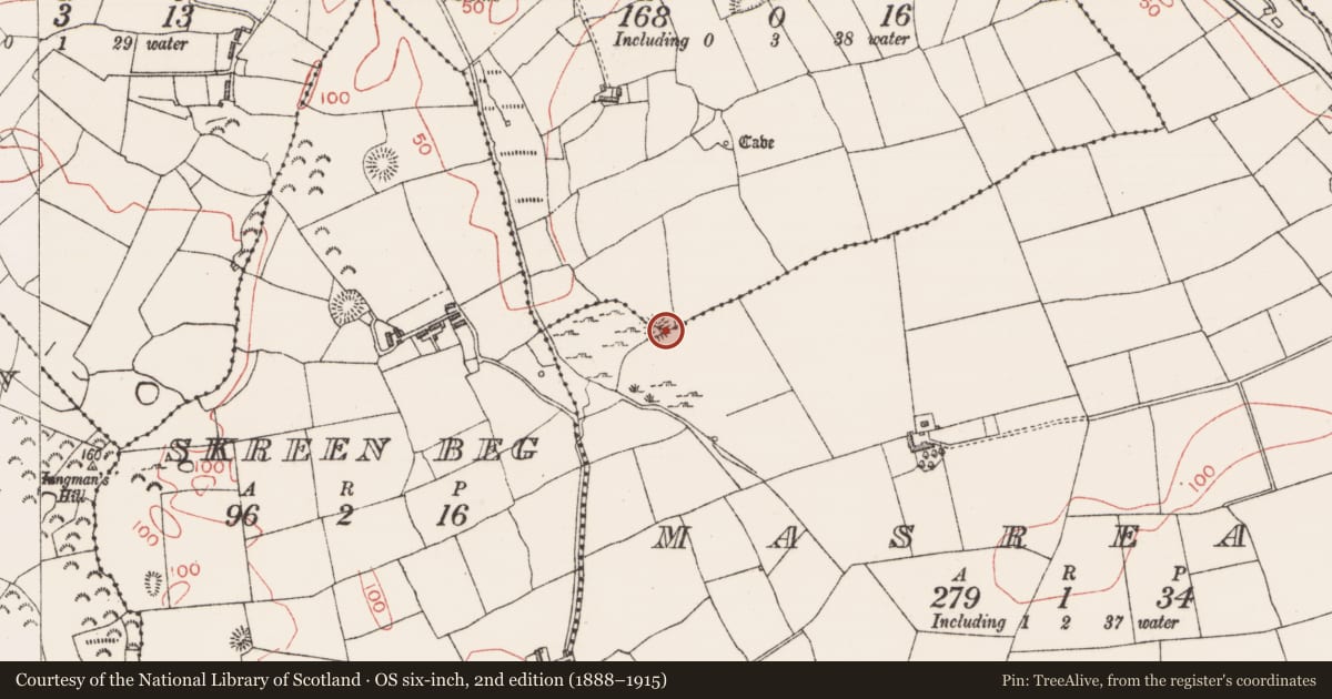 Ordnance Survey six-inch map, 2nd edition (1888–1915) covering the location of Ringfort - rath, Masreagh, Toberawnaun, County Sligo, with a pin at the register's coordinates