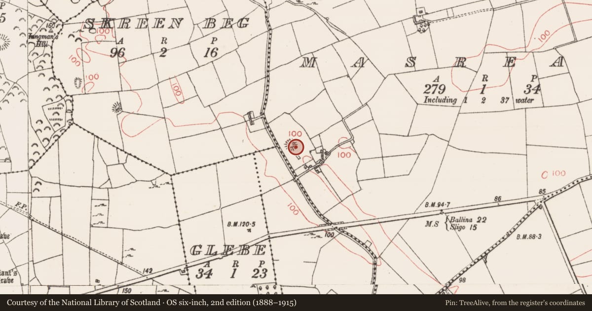 Ordnance Survey six-inch map, 2nd edition (1888–1915) covering the location of Enclosure, Masreagh, County Sligo, with a pin at the register's coordinates