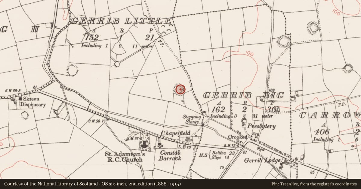 Ordnance Survey six-inch map, 2nd edition (1888–1915) covering the location of Ringfort - rath, Gerrib Little, County Sligo, with a pin at the register's coordinates