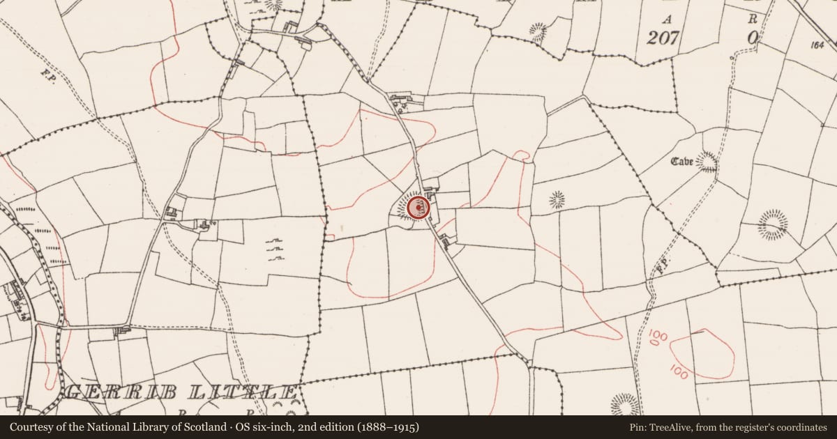 Ordnance Survey six-inch map, 2nd edition (1888–1915) covering the location of House - indeterminate date, Carrownree, County Sligo, with a pin at the register's coordinates