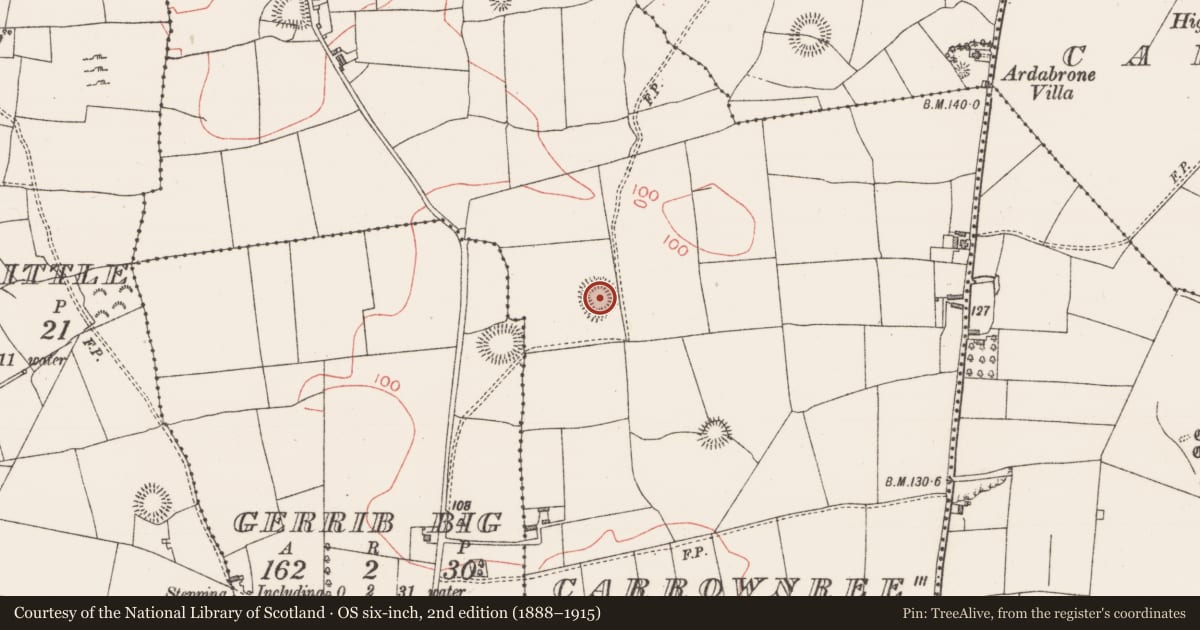 Ordnance Survey six-inch map, 2nd edition (1888–1915) covering the location of Ringfort - unclassified, Carrownree, County Sligo, with a pin at the register's coordinates