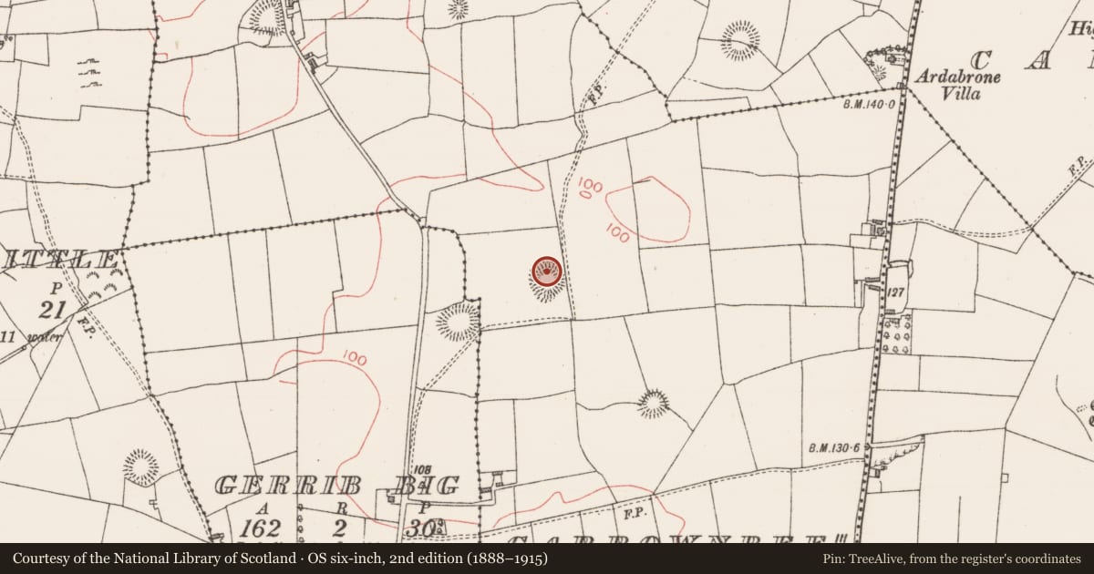 Ordnance Survey six-inch map, 2nd edition (1888–1915) covering the location of House - early medieval, Carrownree, County Sligo, with a pin at the register's coordinates