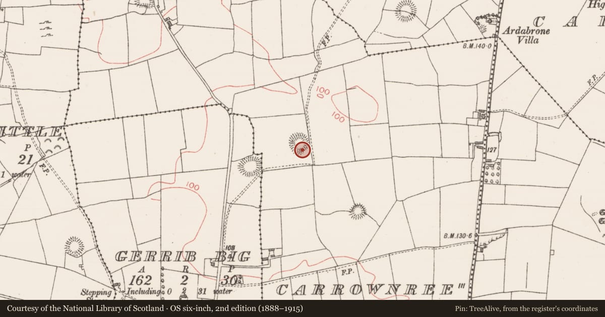 Ordnance Survey six-inch map, 2nd edition (1888–1915) covering the location of House - early medieval, Carrownree, County Sligo, with a pin at the register's coordinates