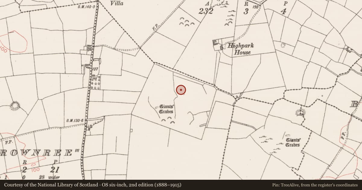 Ordnance Survey six-inch map, 2nd edition (1888–1915) covering the location of Field system, Carrownaboll, County Sligo, with a pin at the register's coordinates