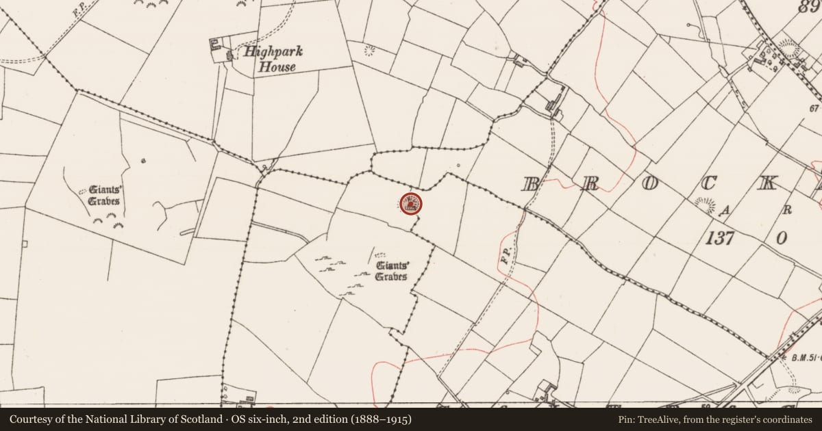 Ordnance Survey six-inch map, 2nd edition (1888–1915) covering the location of Ringfort - rath, Brockagh, Halfquarter, County Sligo, with a pin at the register's coordinates