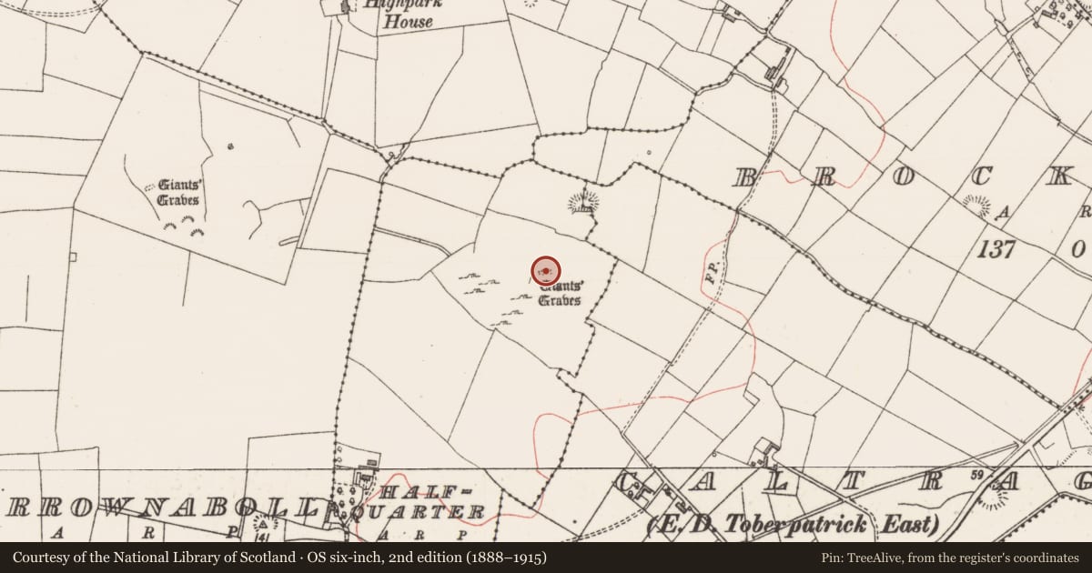 Ordnance Survey six-inch map, 2nd edition (1888–1915) covering the location of Megalithic tomb - court tomb, Halfquarter, County Sligo, with a pin at the register's coordinates