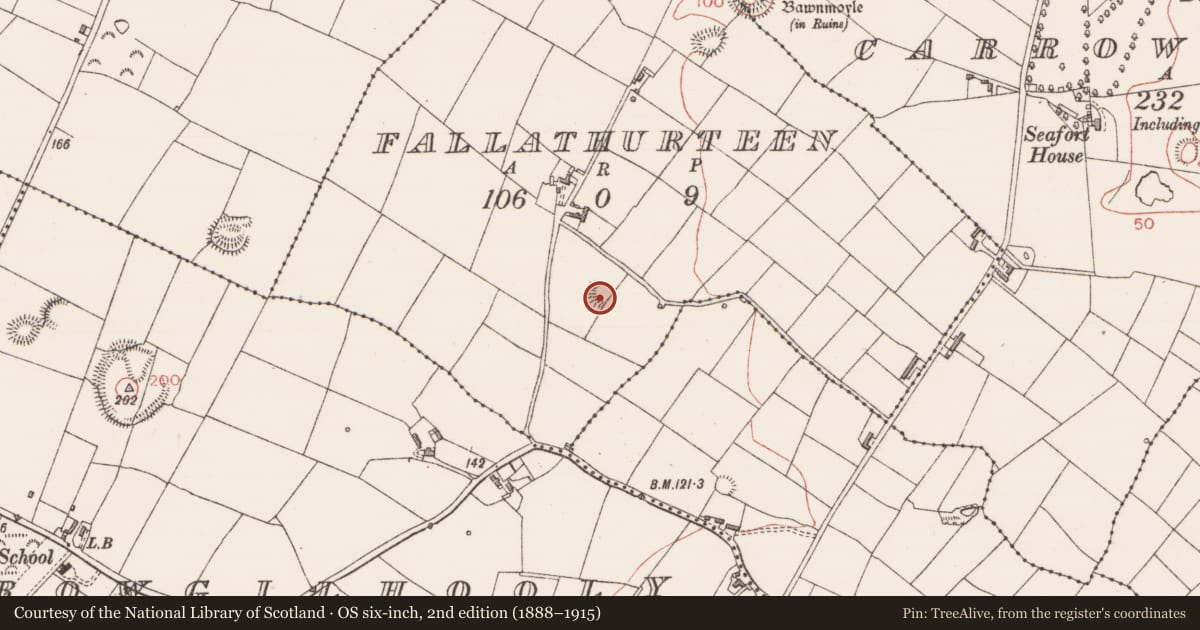 Ordnance Survey six-inch map, 2nd edition (1888–1915) covering the location of Ringfort - rath, Fallathurteen, County Sligo, with a pin at the register's coordinates