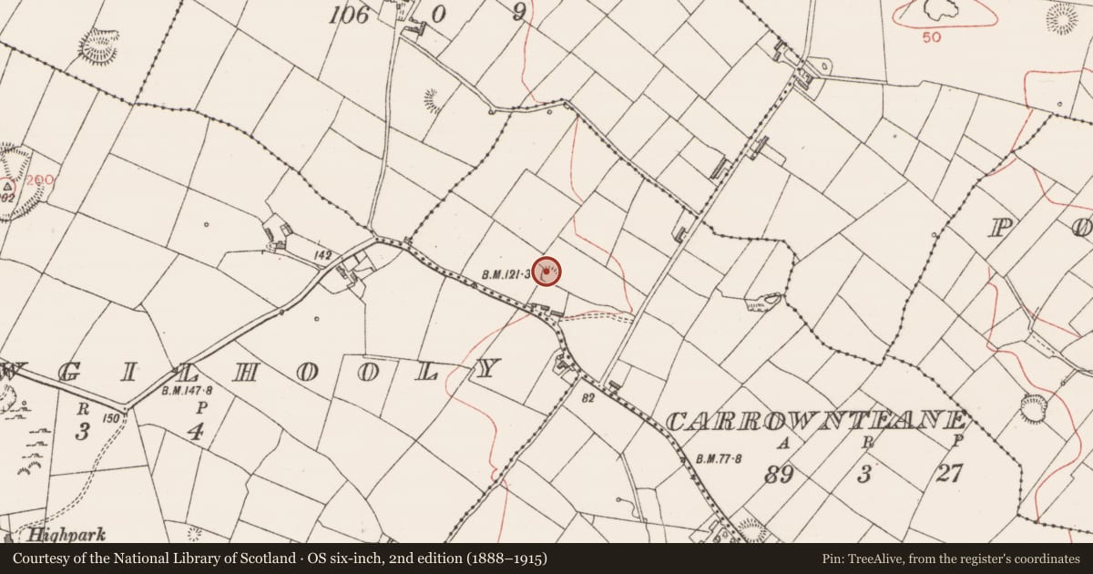 Ordnance Survey six-inch map, 2nd edition (1888–1915) covering the location of Ringfort - rath, Carrownteane, County Sligo, with a pin at the register's coordinates