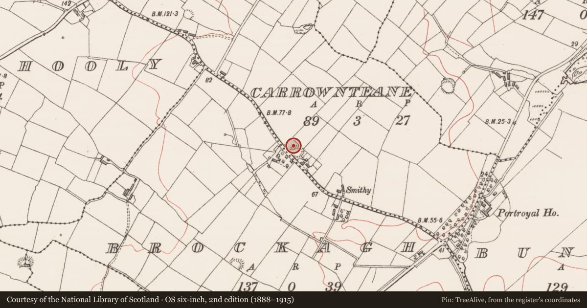 Ordnance Survey six-inch map, 2nd edition (1888–1915) covering the location of House - early medieval, Carrownteane, County Sligo, with a pin at the register's coordinates