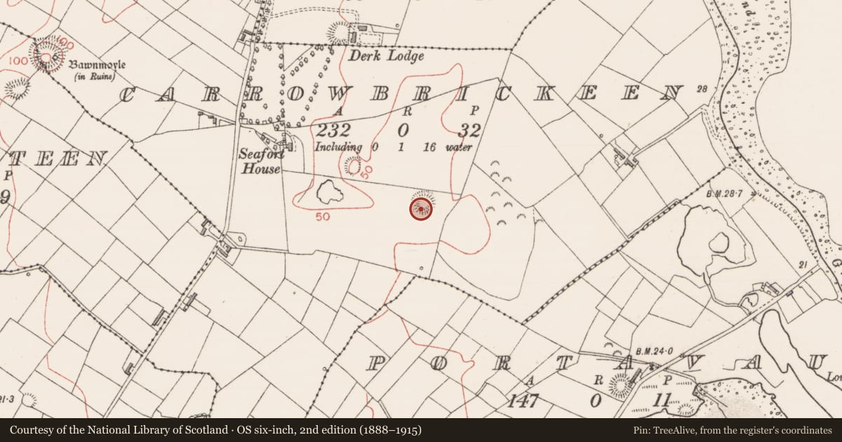 Ordnance Survey six-inch map, 2nd edition (1888–1915) covering the location of Ringfort - rath, Carrowbrickeen, County Sligo, with a pin at the register's coordinates