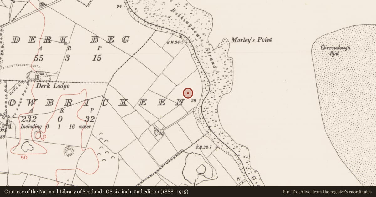 Ordnance Survey six-inch map, 2nd edition (1888–1915) covering the location of Enclosure, Carrowbrickeen, County Sligo, with a pin at the register's coordinates
