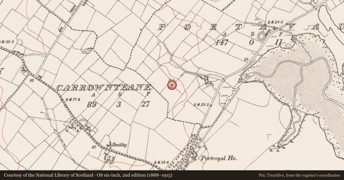 Ordnance Survey six-inch map, 2nd edition (1888–1915) covering the location of Ringfort - rath, Portavaud, County Sligo, with a pin at the register's coordinates