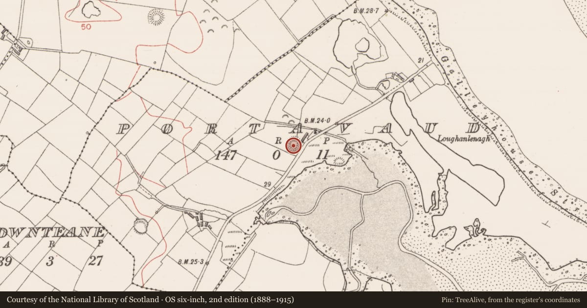 Ordnance Survey six-inch map, 2nd edition (1888–1915) covering the location of Ringfort - rath, Portavaud, County Sligo, with a pin at the register's coordinates