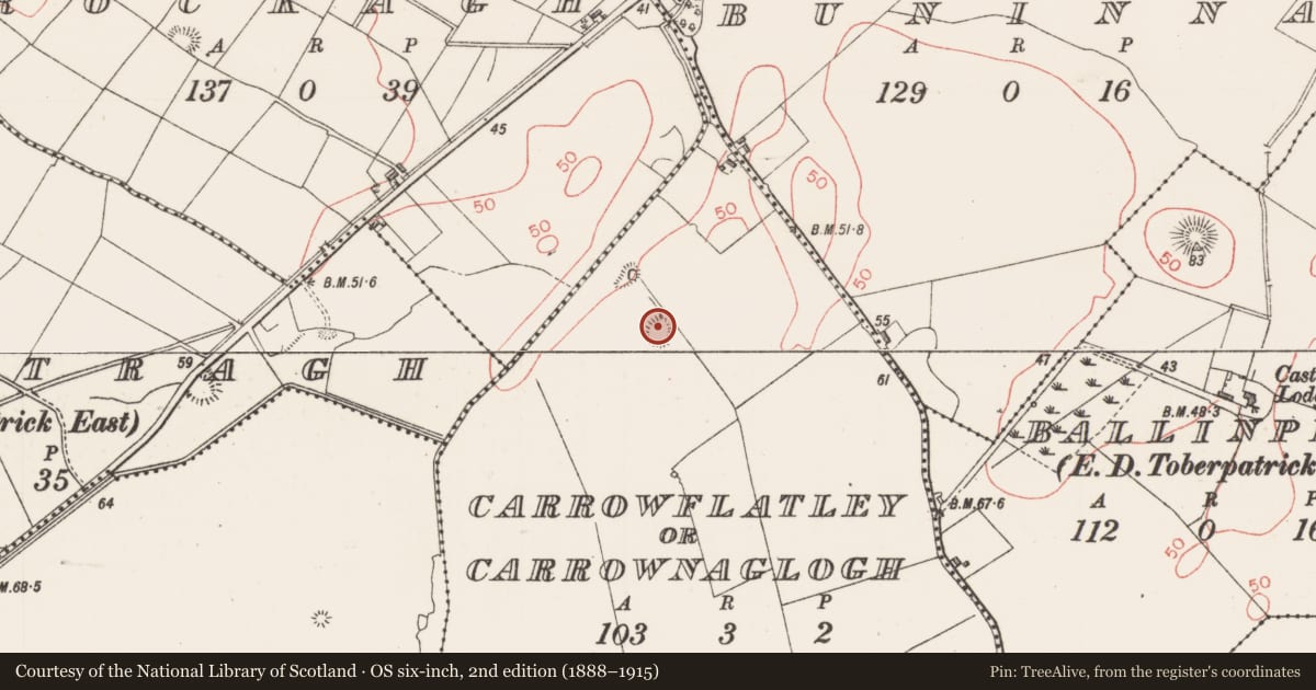 Ordnance Survey six-inch map, 2nd edition (1888–1915) covering the location of Ringfort - rath, Carrowflatley Or Carrownaglogh, County Sligo, with a pin at the register's coordinates