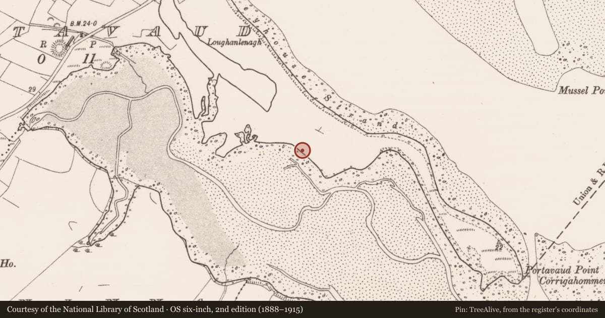 Ordnance Survey six-inch map, 2nd edition (1888–1915) covering the location of Enclosure, Portavaud, County Sligo, with a pin at the register's coordinates